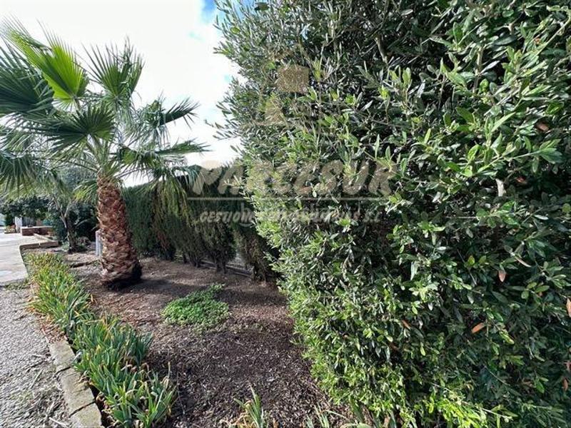 Foto 552ab81d-bd39-47d9-8595-28803625f5ad. Haus in Alcolea Córdoba