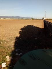 Terreno residenziale in Encinarejo de Córdoba. Zona villarrubia  finca rustica de 3 hectáreas con boca de riego