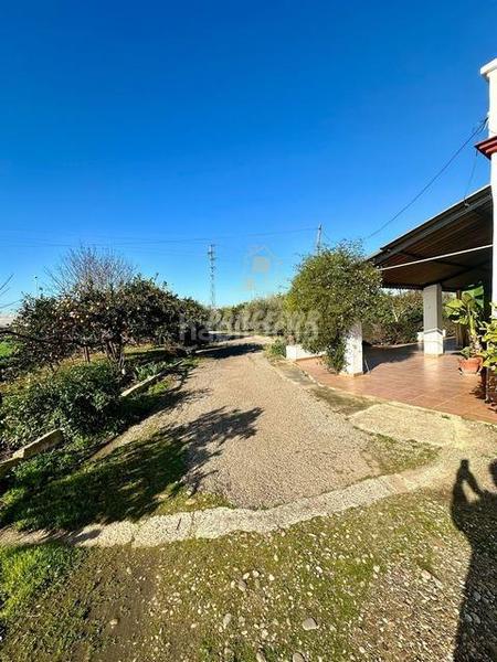 Foto 3c0e1cee-d81f-48ab-b8f1-b8c2a4275558. Masia a Villarrubia Córdoba