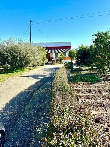 Foto 88acf20c-5aac-4224-9349-9ba4fd6e0a04. Masia a Villarrubia Córdoba