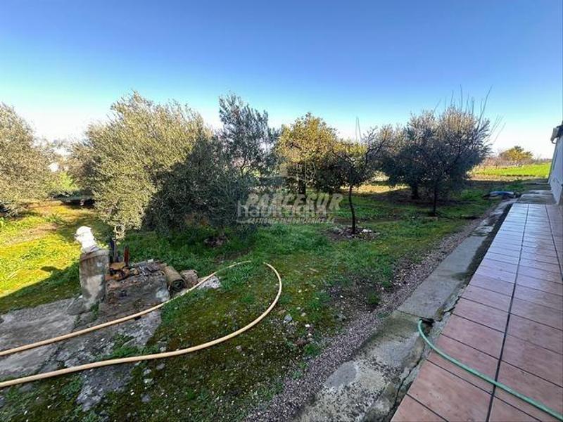 Foto d0f404b3-eece-46e2-857b-ad3016ae10a0. Masia a Villarrubia Córdoba