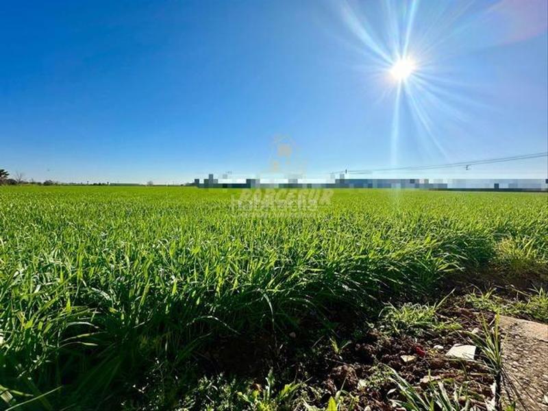 Foto eaf83897-1e22-4348-a40b-2e98a1a881c9. Masia a Villarrubia Córdoba