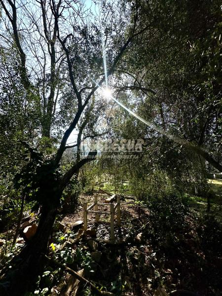 Foto 23cae24f-ae20-4629-9b09-0d324c5db328. Casa in Las Jaras Córdoba