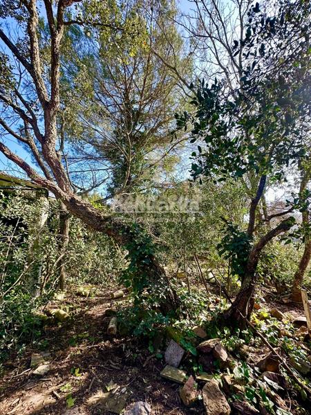 Foto a5cbee28-275e-4735-97b4-dfde08b000f3. Casa in Las Jaras Córdoba