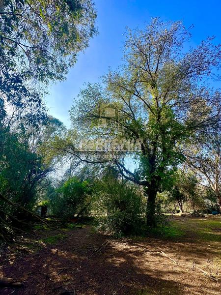 Foto ee24dca8-6ed8-4832-a6f7-41173552083f. Casa in Las Jaras Córdoba