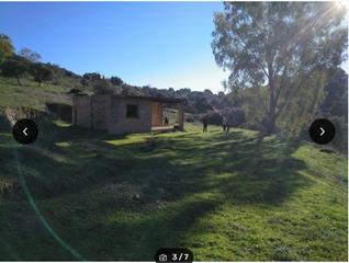 Maison à Almodóvar del Río. Zona cuevas bajas. parcela de 6.000 m2, vallada con casa en cons