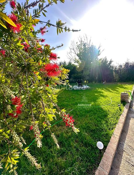 Foto c7acc934-7e0f-4a0c-a32e-519a77fbfc9d. Casa in Villarrubia Córdoba