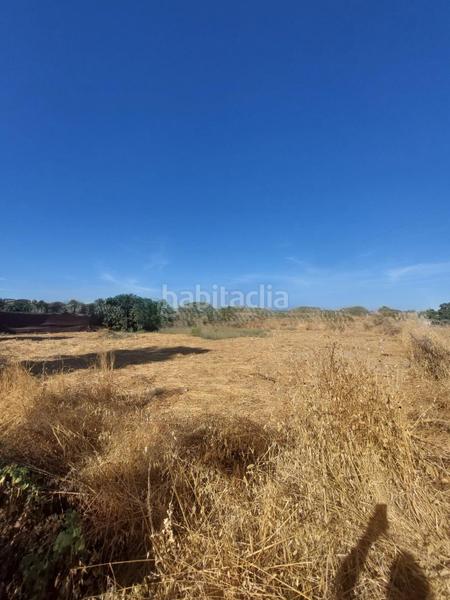 Foto 02512e53-c7c1-45b2-8bf3-6ddc87688977. Terreno residencial majaneque estupendo precio!! parcela de 1.250m para inversión, recreo, huerto. en Córdoba