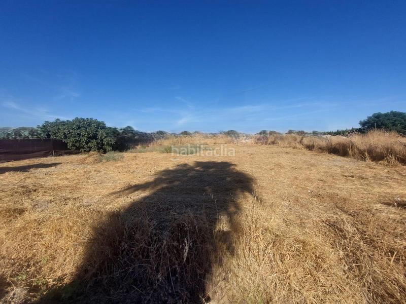 Foto 0a8b10b6-7cb6-4853-953d-30a8a6e56858. Terreno residencial majaneque estupendo precio!! parcela de 1.250m para inversión, recreo, huerto. en Córdoba