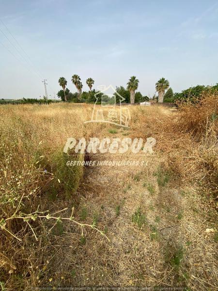 Foto 182c8d6c-7957-4798-be37-7fa994f2ced7. Terreno residencial majaneque estupendo precio!! parcela de 1.250m para inversión, recreo, huerto. en Córdoba