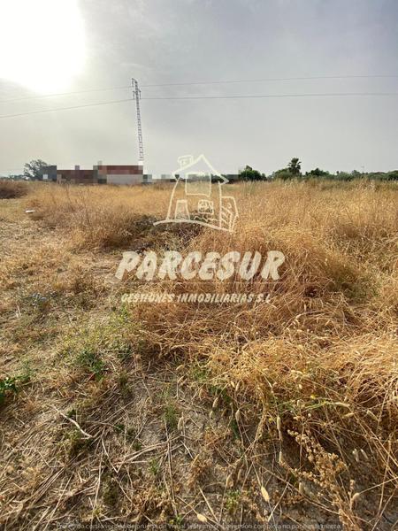 Foto 48e1c888-4054-4a13-8bda-0ddcf294c44c. Terreno residencial majaneque estupendo precio!! parcela de 1.250m para inversión, recreo, huerto. en Córdoba