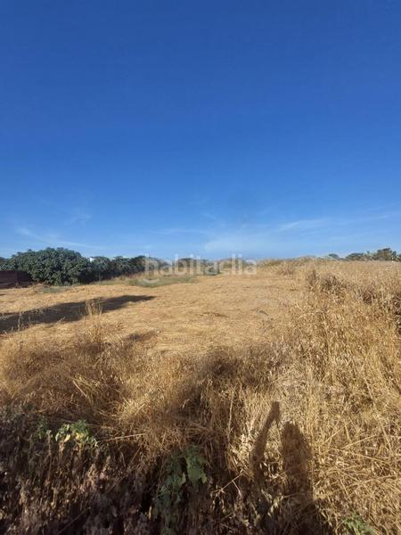 Foto 6efcedb6-74ac-4336-b527-88a4d3a756a5. Terreno residencial majaneque estupendo precio!! parcela de 1.250m para inversión, recreo, huerto. en Córdoba