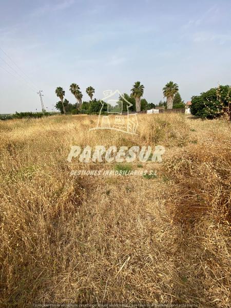 Foto 74c7ac9d-6a08-42f7-9e0e-aca4262e0473. Terreno residencial majaneque estupendo precio!! parcela de 1.250m para inversión, recreo, huerto. en Córdoba
