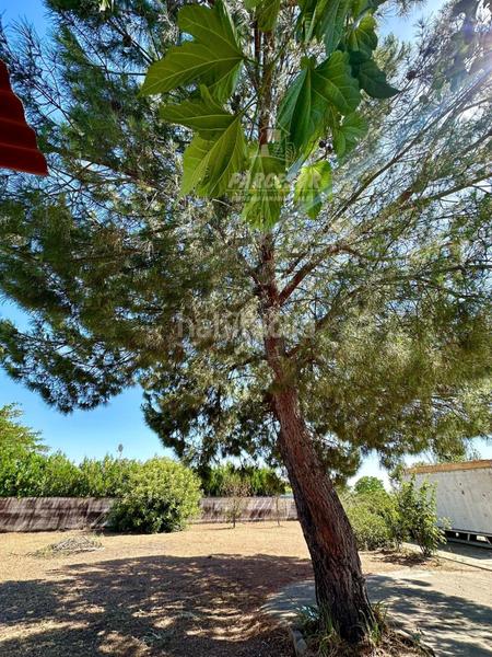 Foto 455d38a6-ca9c-4447-84c6-0eeb0b6585a5. Casa amb aparcament a El Higuerón Córdoba