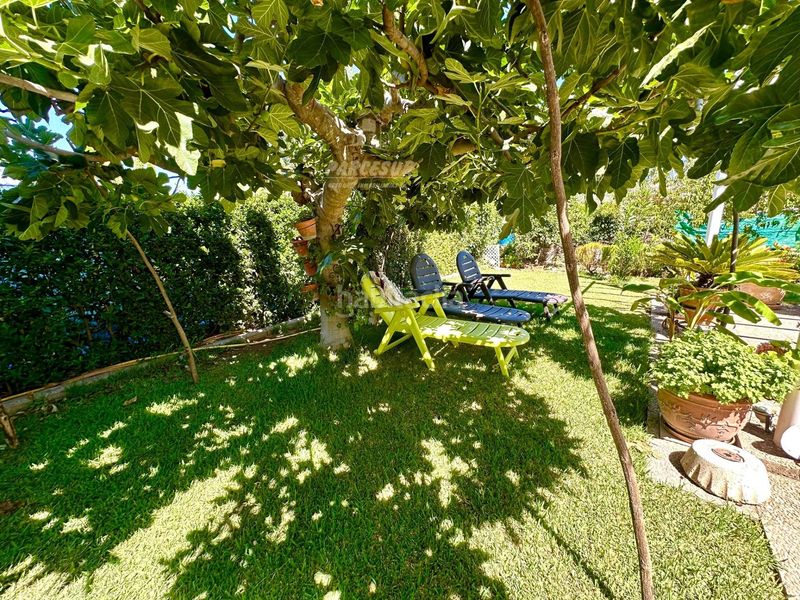 Foto 5fbafe0d-85d6-4aef-9d44-e9f22cb60b05. Casa amb calefacció piscina a El Higuerón Córdoba