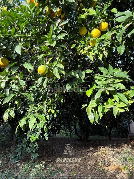 Foto 2ba200f2-2cc8-40f8-a765-cd59041c4633. Casa con riscaldamento in Villarrubia Córdoba