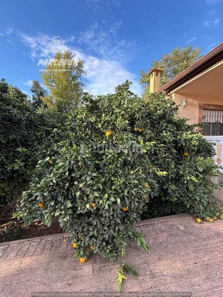 Foto 33b8eaf7-f70c-479d-adee-ff83a64d9da4. Casa con riscaldamento in Villarrubia Córdoba