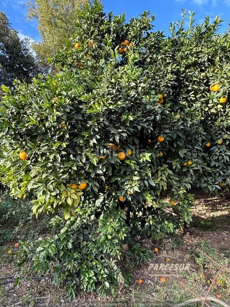 Foto c3604f6a-e10b-4da6-ae6e-54fd9bdfa3fc. Casa con riscaldamento in Villarrubia Córdoba