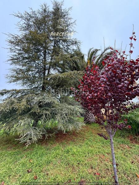 Foto c544d9db-3d00-455c-817a-441ab8ac4d1f. Casa con piscina in El Higuerón Córdoba