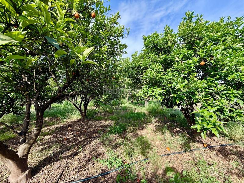 Foto 16369c0c-8a36-4237-85fc-b6cbbecfd338. Bauernhof mit heizung parking pool in El Higuerón Córdoba