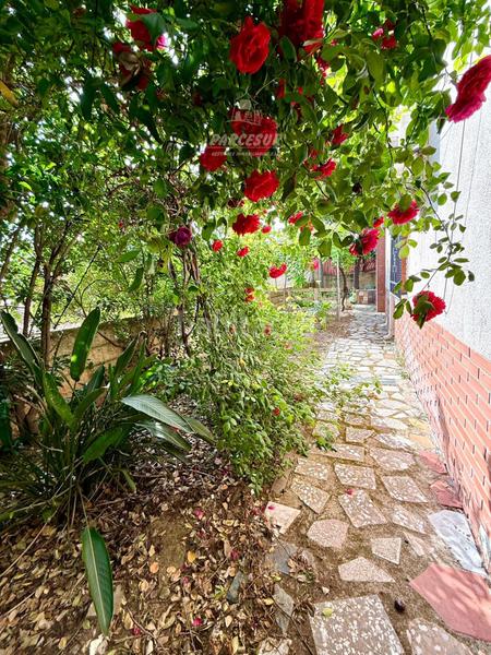 Foto 325c38ff-d343-4c2f-aa79-b0043bd430d5. Bauernhof mit heizung parking pool in El Higuerón Córdoba