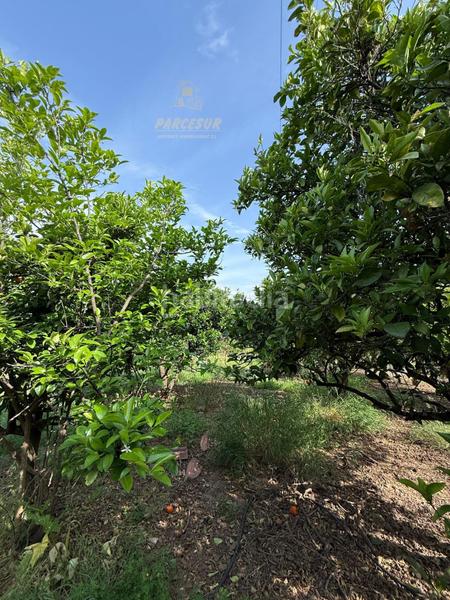 Foto 32ac00d5-8722-4d9f-ad8a-800f59d35ef2. Bauernhof mit heizung parking pool in El Higuerón Córdoba