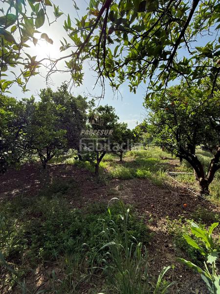 Foto 51c59cf7-4ac5-451c-8fbf-65b40464d763. Bauernhof mit heizung parking pool in El Higuerón Córdoba