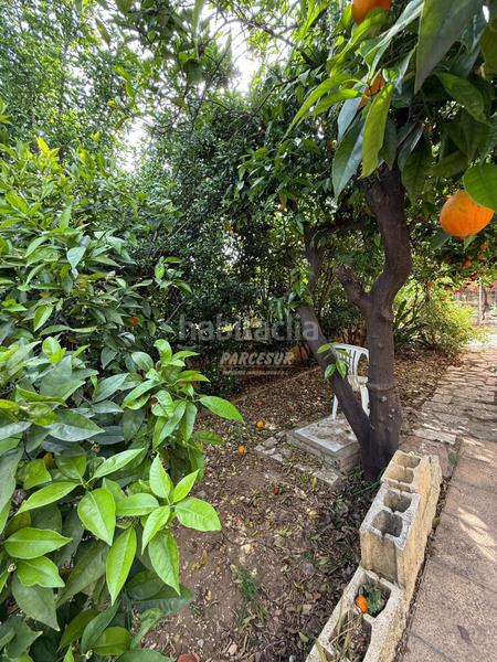 Foto 6bf51994-a0bb-4729-8cb1-e2a29136798e. Bauernhof mit heizung parking pool in El Higuerón Córdoba