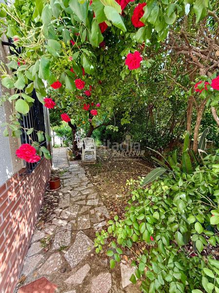 Foto a36da02e-410d-438f-ad8c-c943a99750f4. Bauernhof mit heizung parking pool in El Higuerón Córdoba