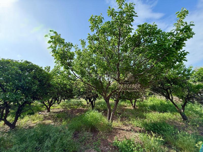 Foto a9a397bf-35e9-46f1-ac85-12bbc4778a00. Bauernhof mit heizung parking pool in El Higuerón Córdoba