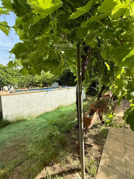 Foto cf20af97-1cdc-4532-9ebb-f375f24c083e. Bauernhof mit heizung parking pool in El Higuerón Córdoba