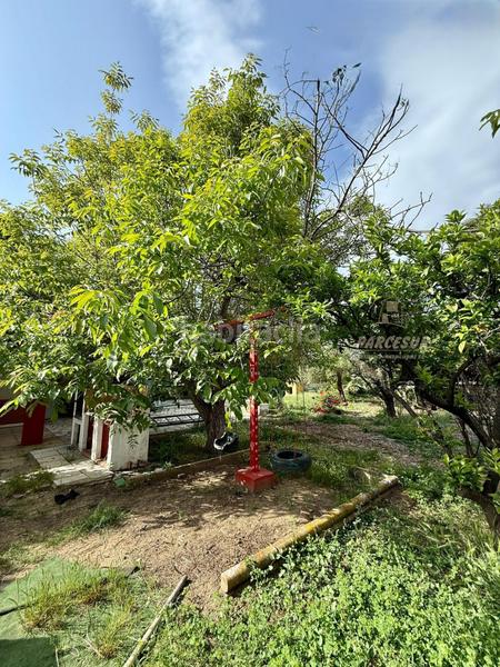 Foto d3d6ad2c-d3bb-4e7e-85bf-337804554862. Bauernhof mit heizung parking pool in El Higuerón Córdoba