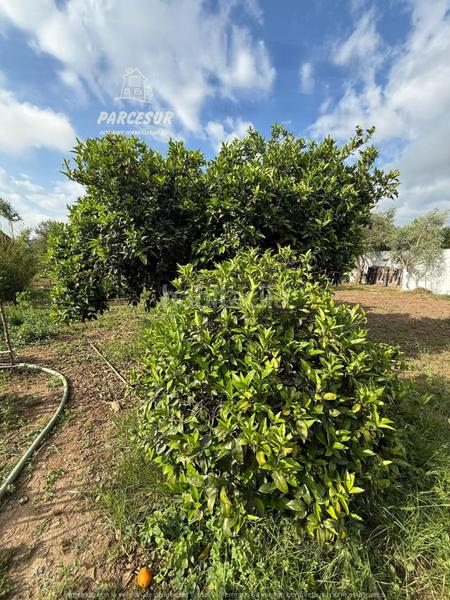Foto 2a60d473-6295-4248-b62c-7e7ccd5ae3c2. Casale con riscaldamento piscina in El Higuerón Córdoba