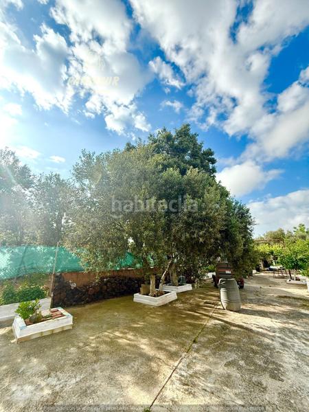 Foto 7b1c6697-0fe8-4c52-8e79-0bb1ef9b3342. Casale con riscaldamento piscina in El Higuerón Córdoba