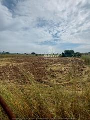 Finca rústica a El Higuerón. Ctra aeropuerto, terreno de 1000m2