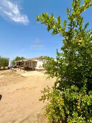 Country house en Carretera palma del rio. Hipotecable casa con terreno cercana a cordoba