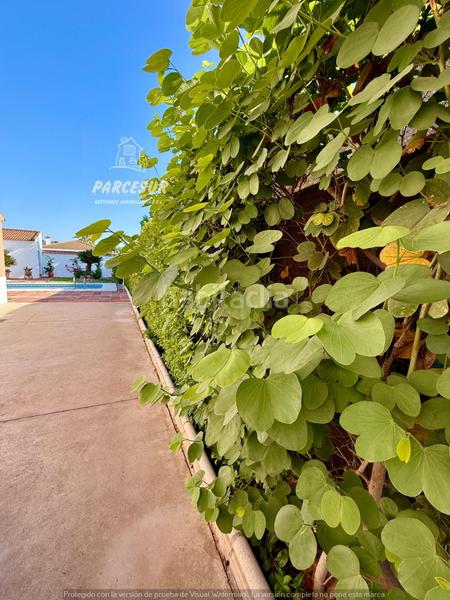 Foto 31175078-d4a6-4bb0-bce4-3d768933f626. Casa chalet de ensueño en una inmejorable ubicacion no hipotecable en Córdoba