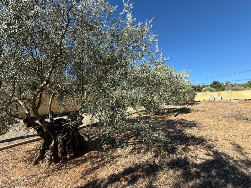 Foto 10f82a13-54fa-4b1e-af8f-73e5959b6a7f. Bauernhof mit heizung pool in Almodóvar del Río