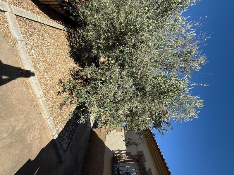 Foto 7dd615ee-78cb-4641-bc9b-35333ee66cce. Bauernhof mit heizung pool in Almodóvar del Río