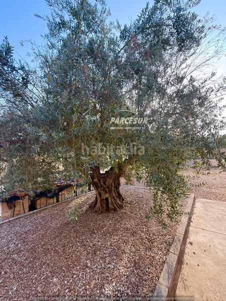 Foto 858795ad-5f17-4a73-ab63-88c12efbc189. Bauernhof mit heizung pool in Almodóvar del Río