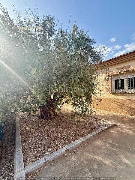 Foto c1ee125f-a58f-4d9c-920a-4f814803669e. Bauernhof mit heizung pool in Almodóvar del Río