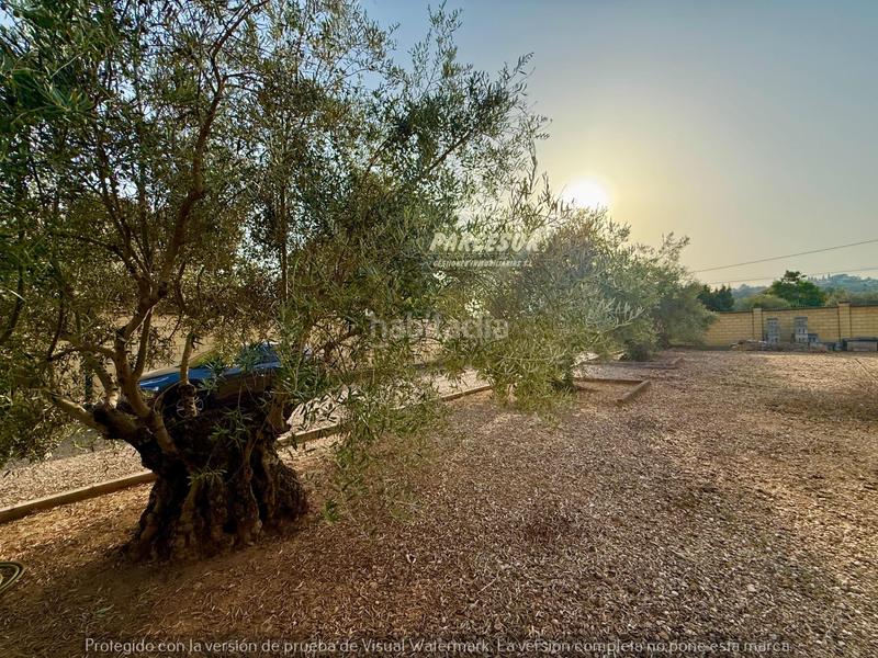 Foto f71702e5-795d-427a-8376-7fdc3bfa24f6. Bauernhof mit heizung pool in Almodóvar del Río