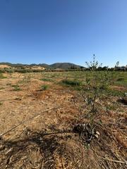 Terreno residencial en El Higuerón. Parcela vallada en villarrubia, córdoba  ideal para cultivo de o