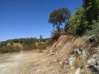 Finca rústica a Almodóvar del Río. Terreno rural en cuevas bajas  oportunidad única