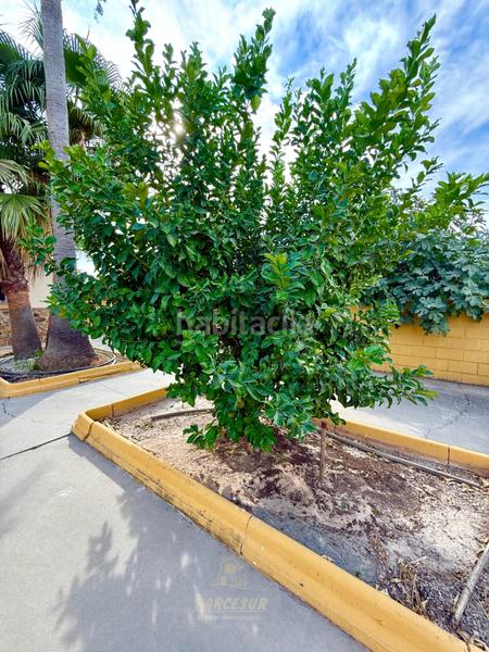 Foto 5717797a-c84e-46ff-81e1-c75eaf993afb. Casa con parcheggio piscina in El Higuerón Córdoba