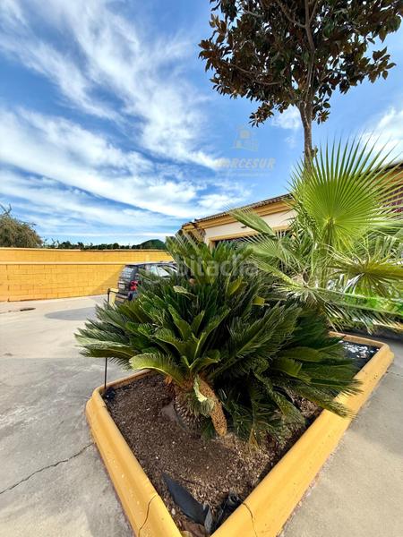 Foto cc860d4d-a13a-4953-96ab-4fda2f3eb8fe. Casa con parcheggio piscina in El Higuerón Córdoba