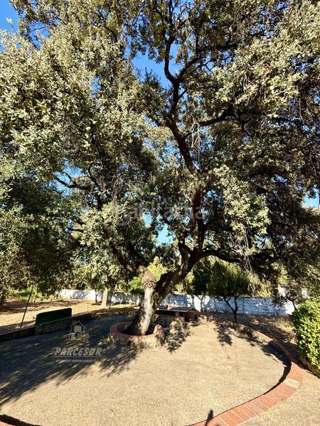 Foto 079d53bc-d756-4a71-885a-4598b1bc2ee6. Masia amb piscina a Almodóvar del Río