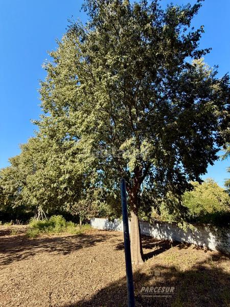 Foto 0adae65d-1828-42e6-8861-c138b10c175d. Masia amb piscina a Almodóvar del Río