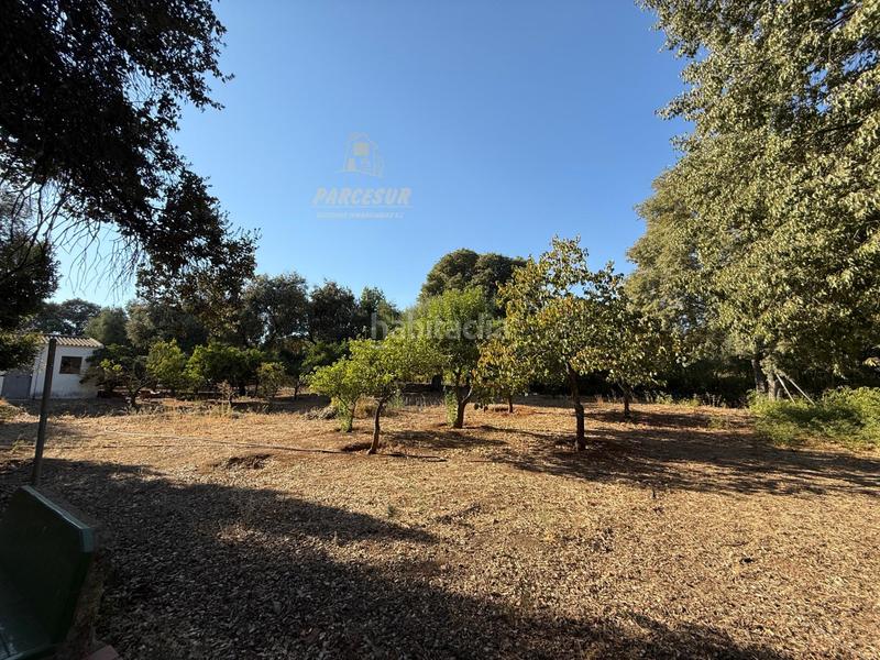 Foto 134d07ca-8c4c-43f5-9b97-4f08491ec0e6. Masia amb piscina a Almodóvar del Río