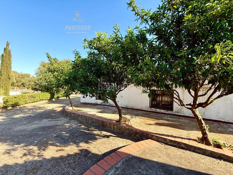 Foto 17a13133-0897-41b7-976d-73b3906f8748. Masia amb piscina a Almodóvar del Río